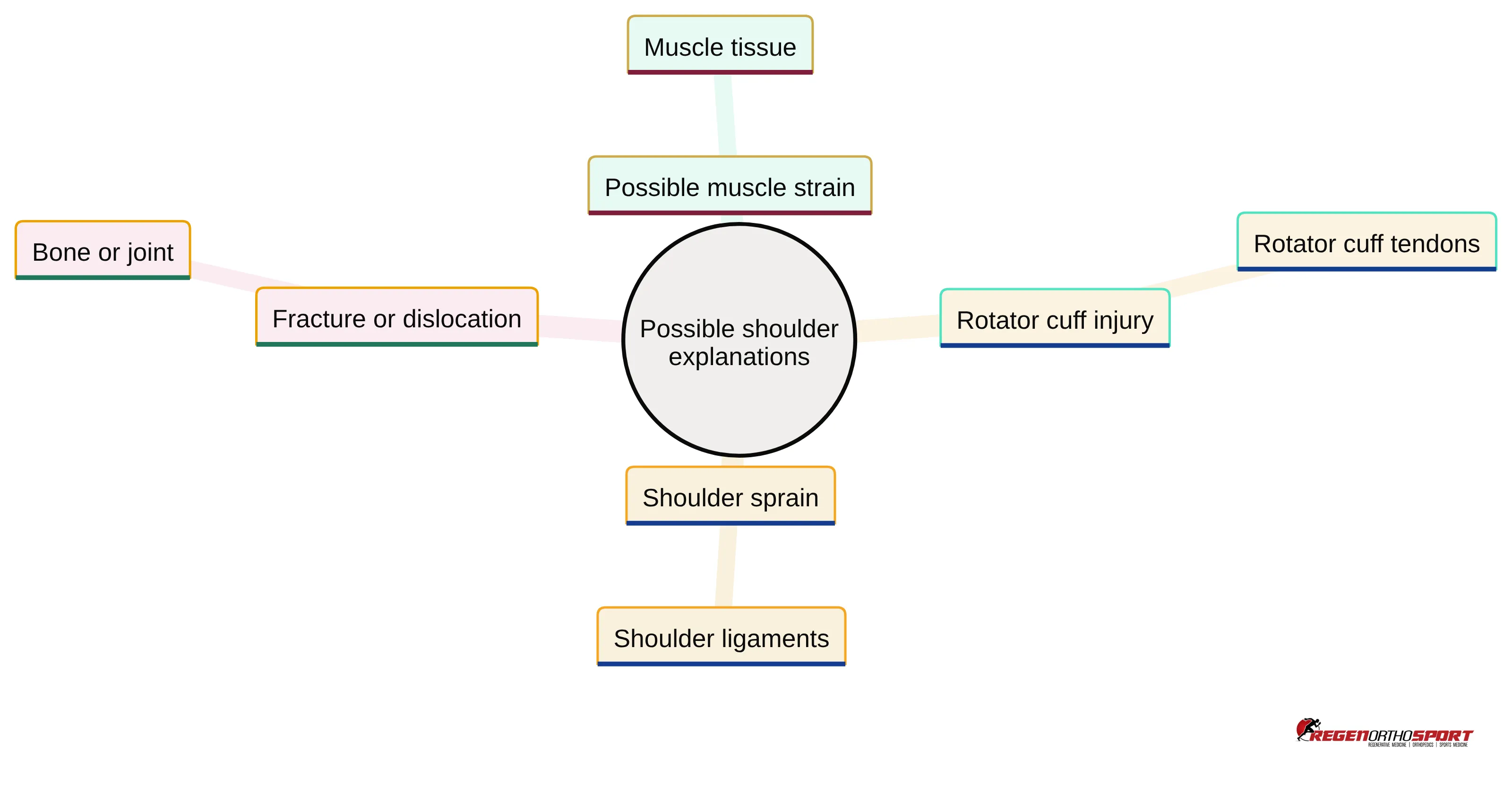 Concept chart showing possible explanations for shoulder discomfort: possible muscle strain involving muscle tissue, rotator cuff injury involving rotator cuff tendons, shoulder sprain involving shoulder ligaments, and fracture or dislocation involving bone or joint.
