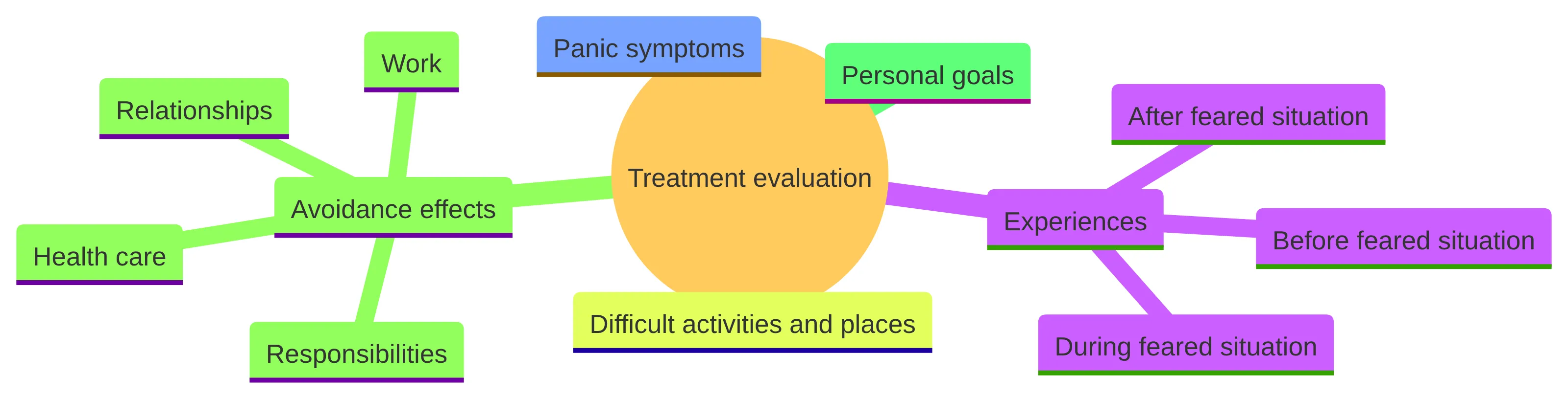 Concept chart showing the main parts of a treatment evaluation for agoraphobia: experiences before, during, and after feared situations; panic symptoms; difficult activities and places; effects of avoidance on work, relationships, health care, and responsibilities; and personal goals.