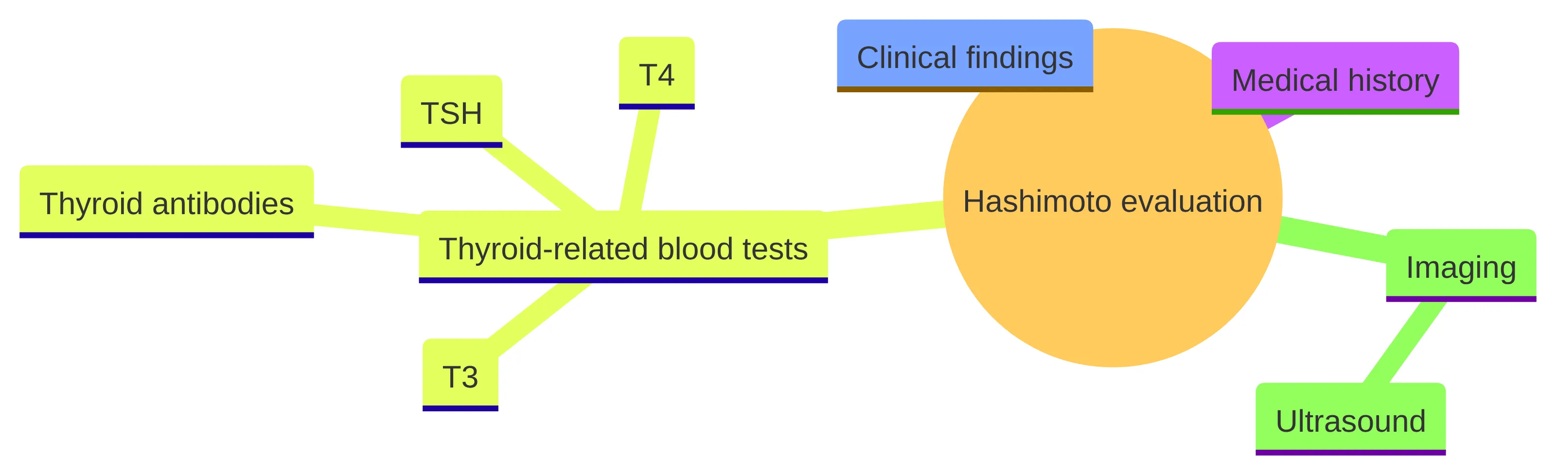 Concept chart showing the main parts of a Hashimoto evaluation: medical history, clinical findings, thyroid-related blood tests including TSH, T4, T3, and thyroid antibodies, and imaging with ultrasound. The visual presents these as components of one evaluation rather than as a diagnosis by themselves.