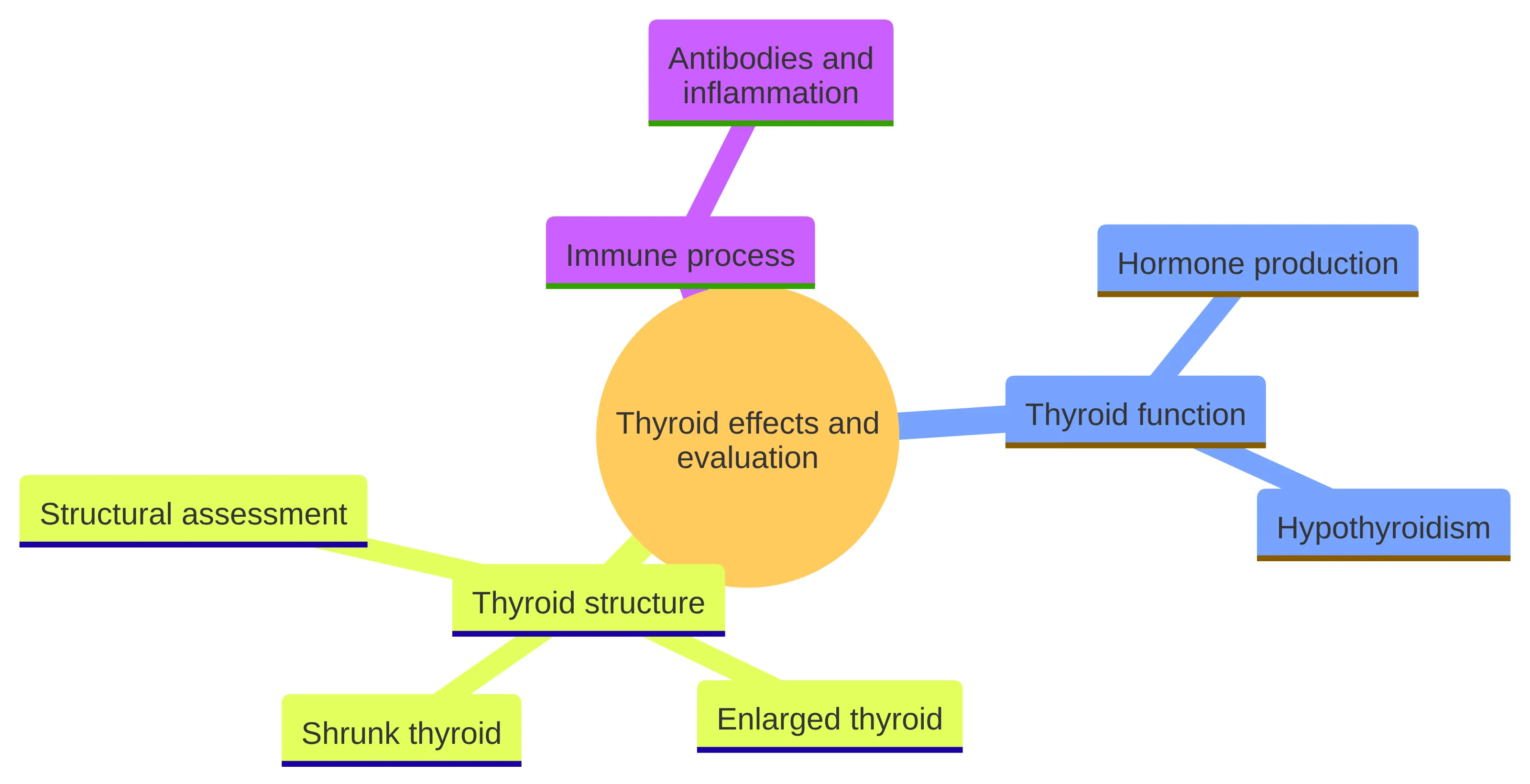 Concept chart showing three distinct aspects of Hashimoto’s discussion: the immune process involving antibodies and inflammation, thyroid function involving hormone production and hypothyroidism, and thyroid structure involving an enlarged or shrunk thyroid and structural assessment.