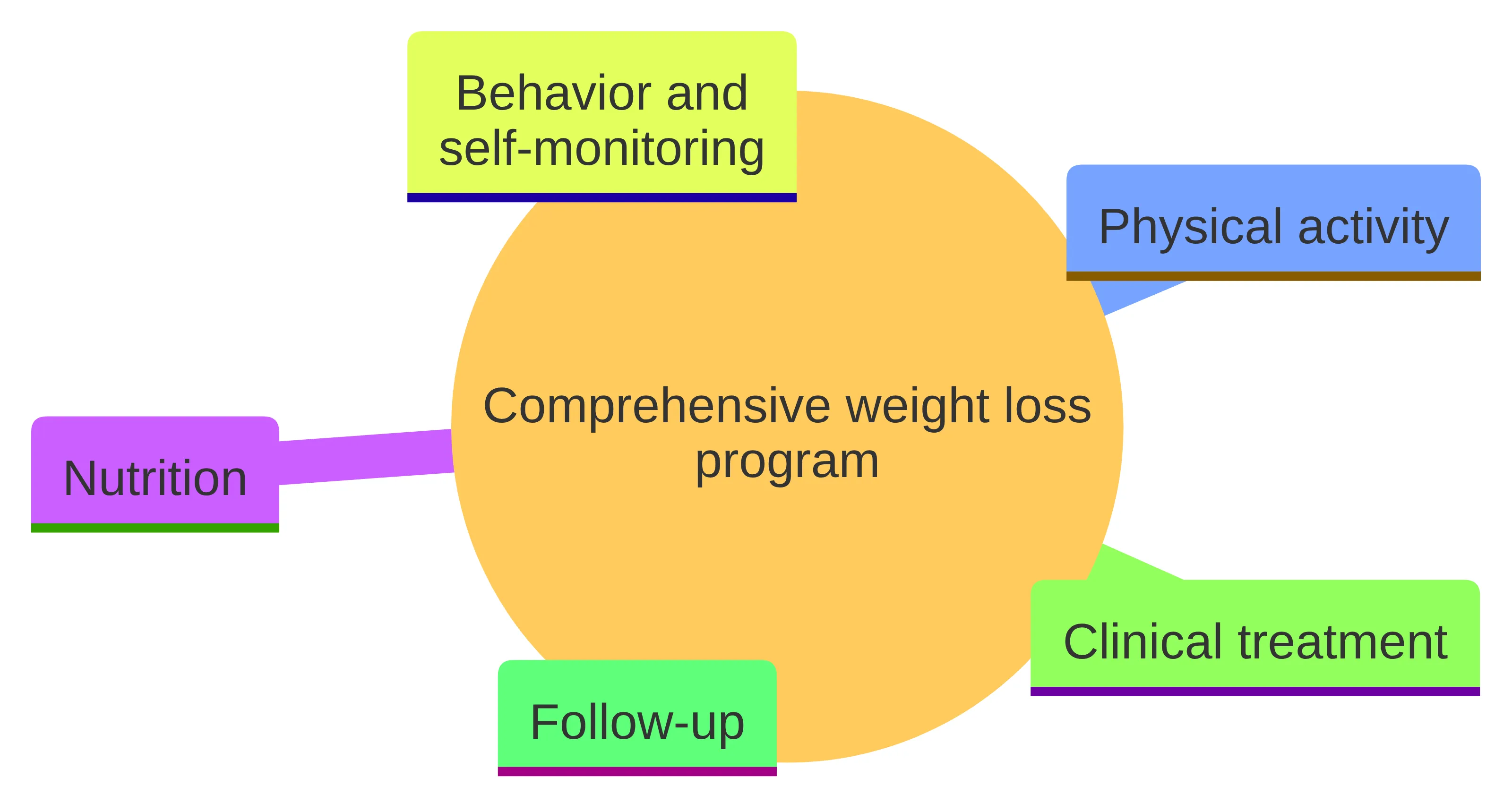 Concept chart showing the named parts of a comprehensive weight loss program: nutrition, physical activity, behavior and self-monitoring, clinical treatment, and follow-up.