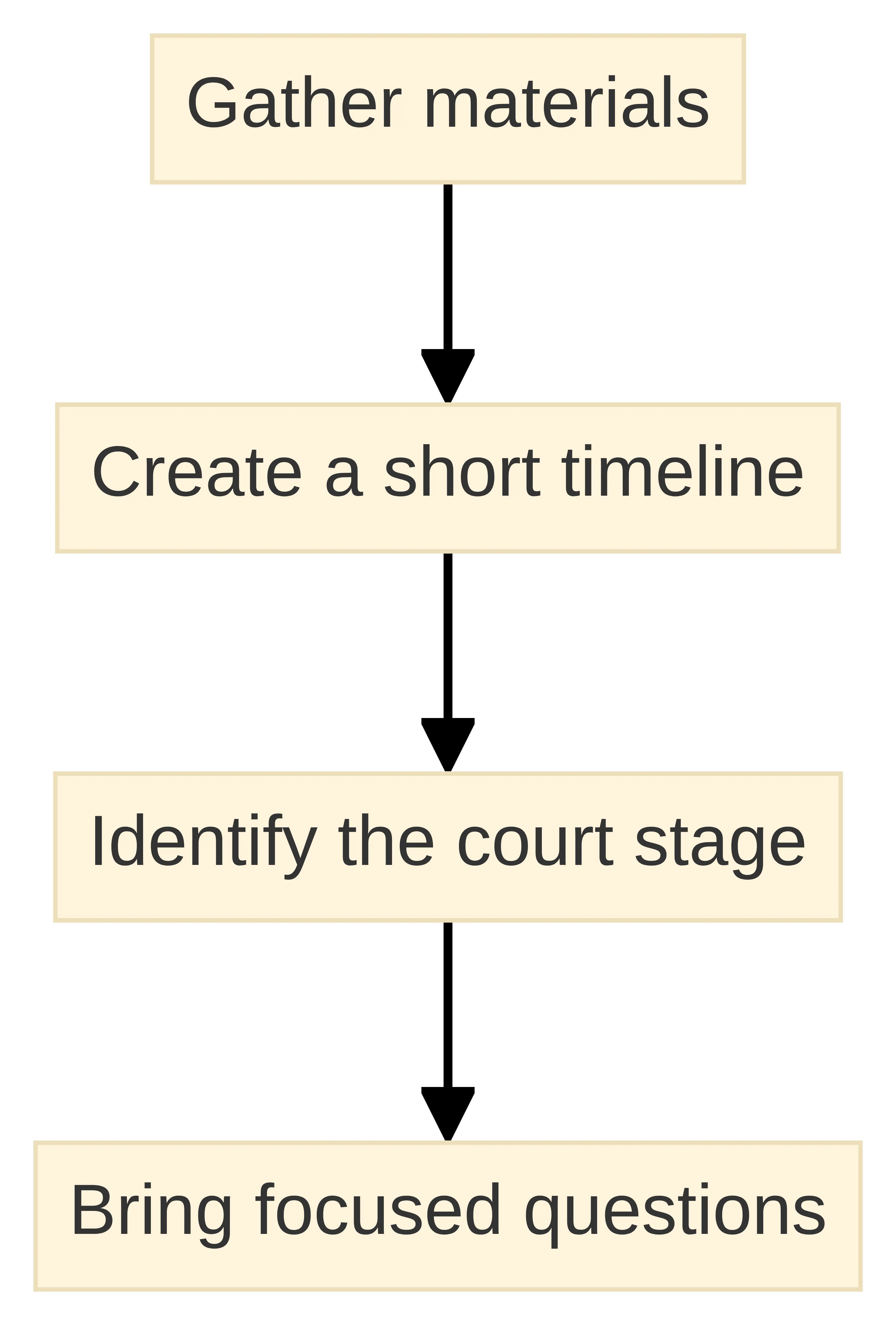 Process chart showing consultation preparation: gather materials, create a short timeline, identify the court stage, and bring focused questions.