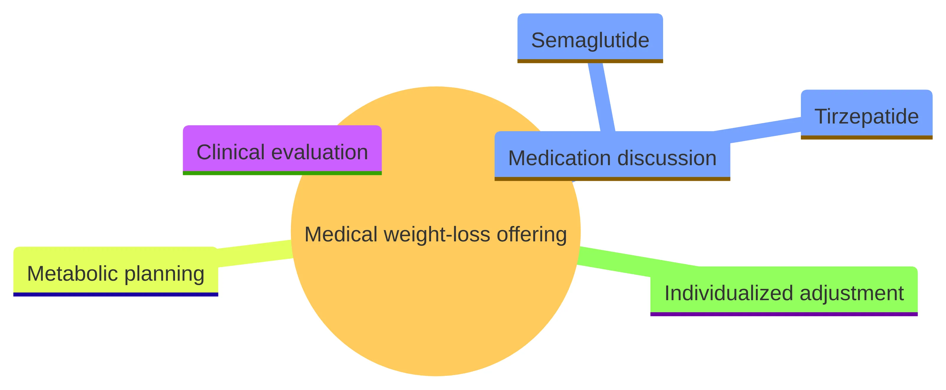 Concept chart showing the four connected parts of the medical weight-loss offering: clinical evaluation, medication discussion with semaglutide and tirzepatide, metabolic planning, and individualized adjustment.