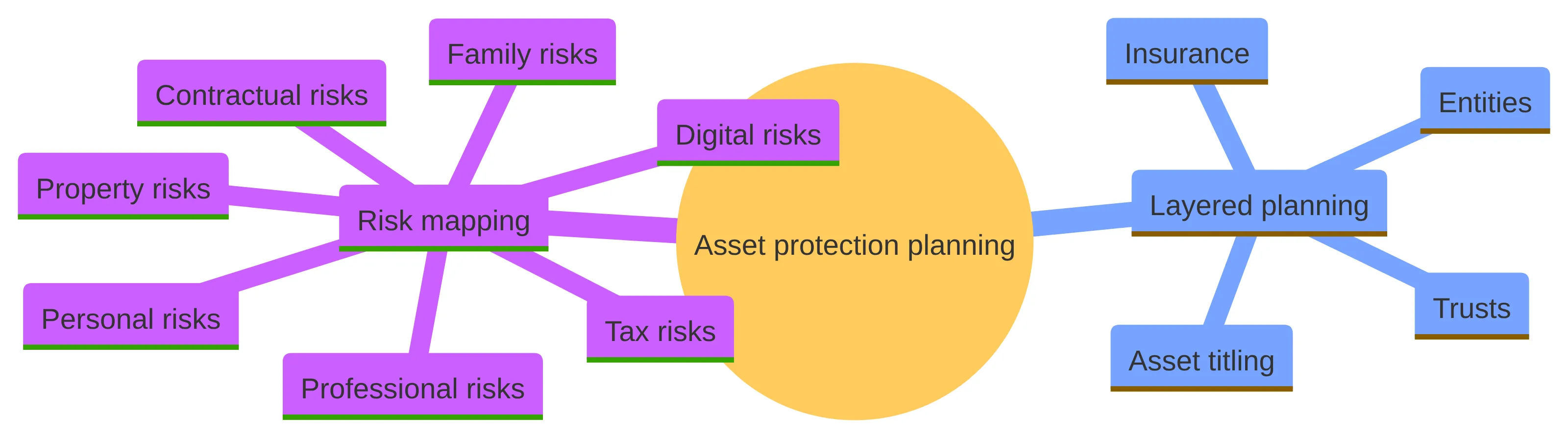 Concept chart showing asset protection planning divided into risk mapping and layered planning, with personal, professional, contractual, family, property, tax, and digital risks alongside insurance, asset titling, entities, and trusts.