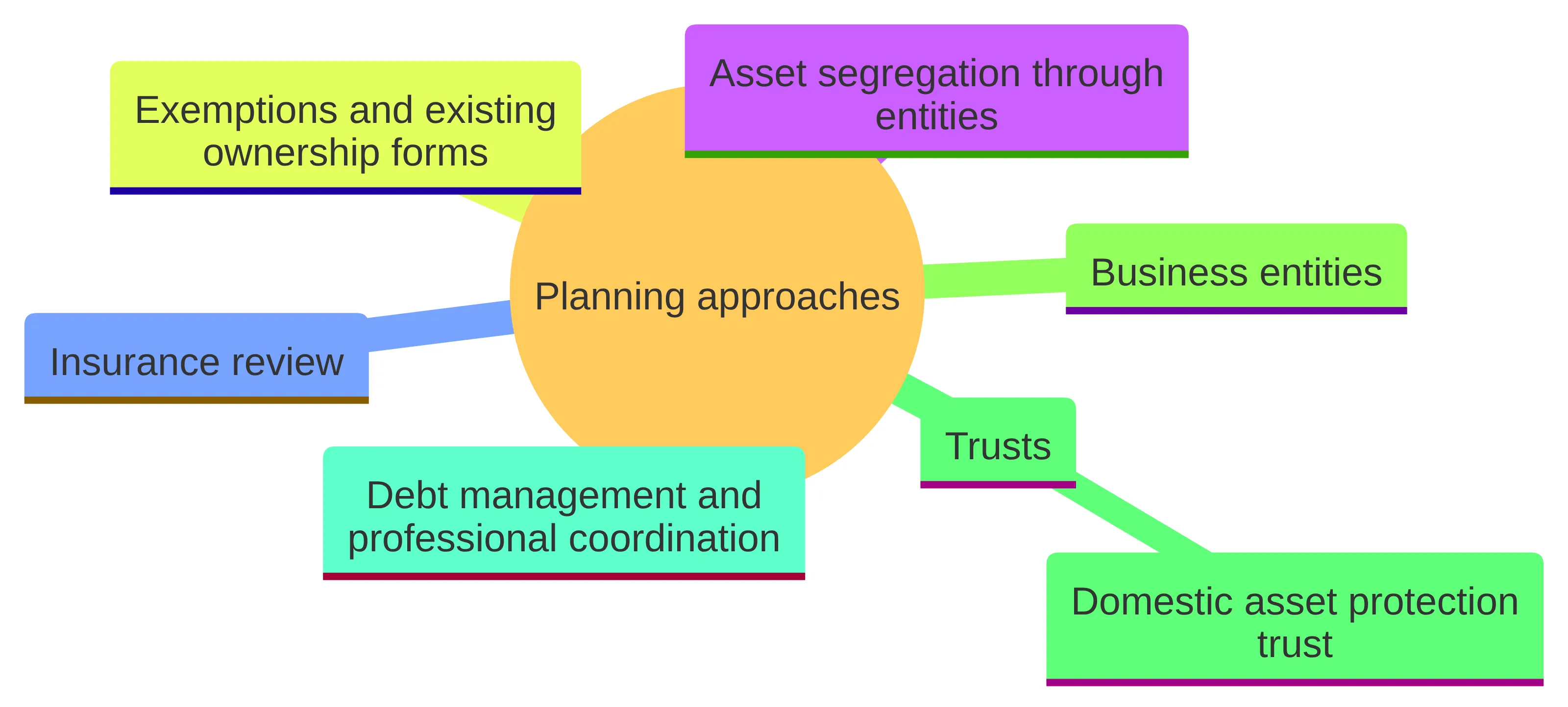 Concept chart showing planning approaches for asset protection: asset segregation through entities, insurance review, exemptions and existing ownership forms, business entities, trusts including a domestic asset protection trust, and debt management and professional coordination.