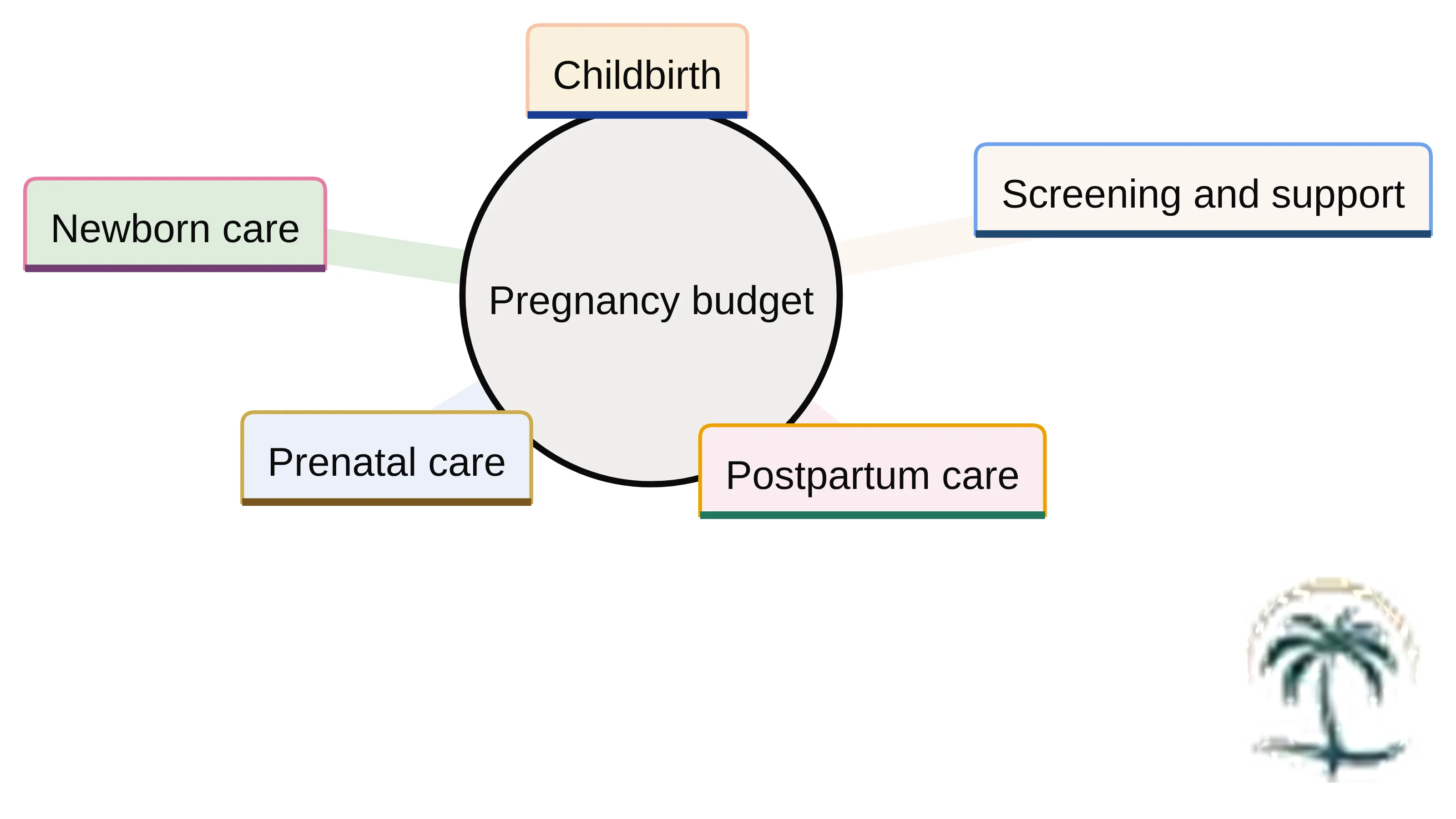Concept chart showing the five parts of a pregnancy budget: prenatal care, screening and support, childbirth, postpartum care, and newborn care. The chart presents these as separate budget categories rather than assigning prices to them.