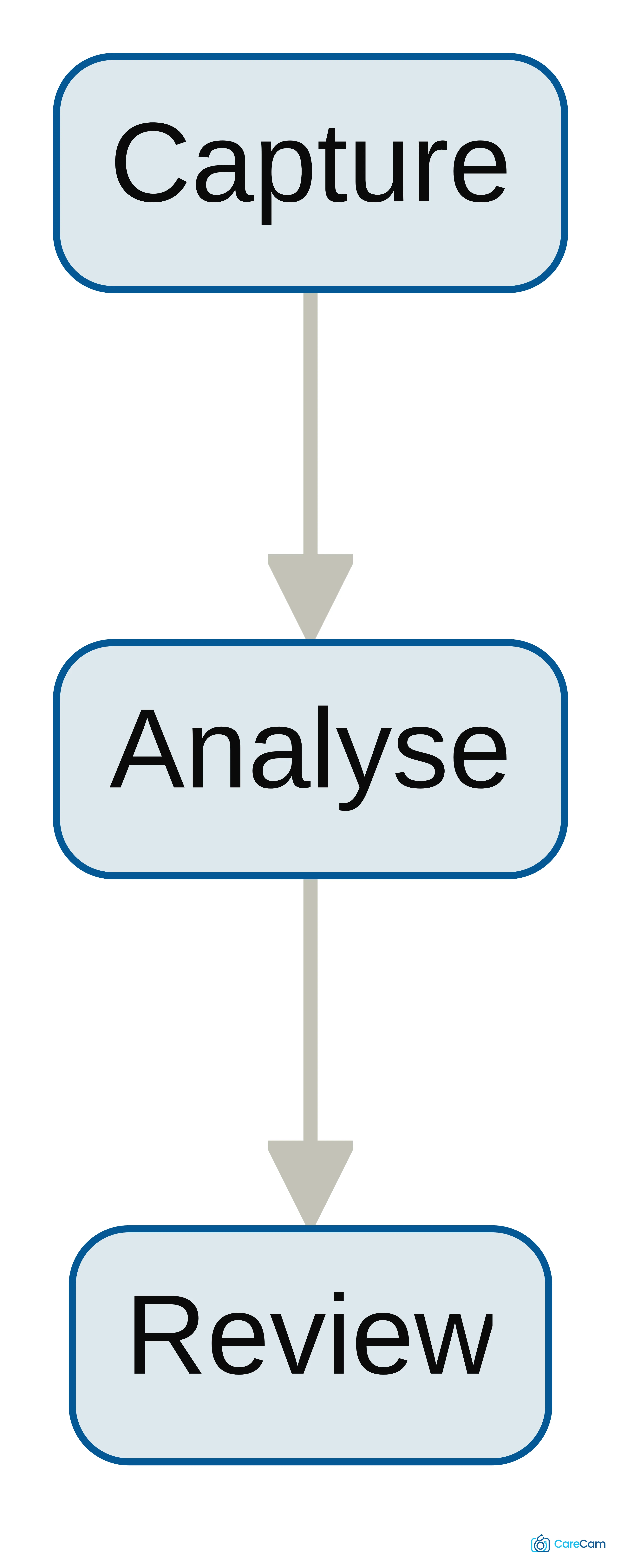 Process chart showing a camera-based movement assessment workflow: capture a short video, analyse the movement, and review the results alongside clinical information and earlier assessments.